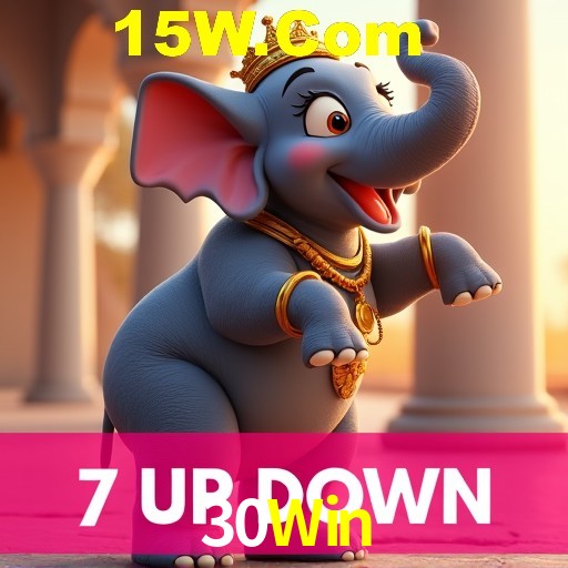 30Win Rio de Janeiro - Bonus Terms