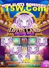 Experiência VIP 30Win