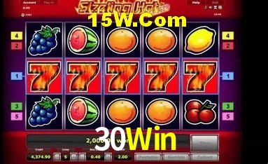 Sistemas de Segurança 30Win